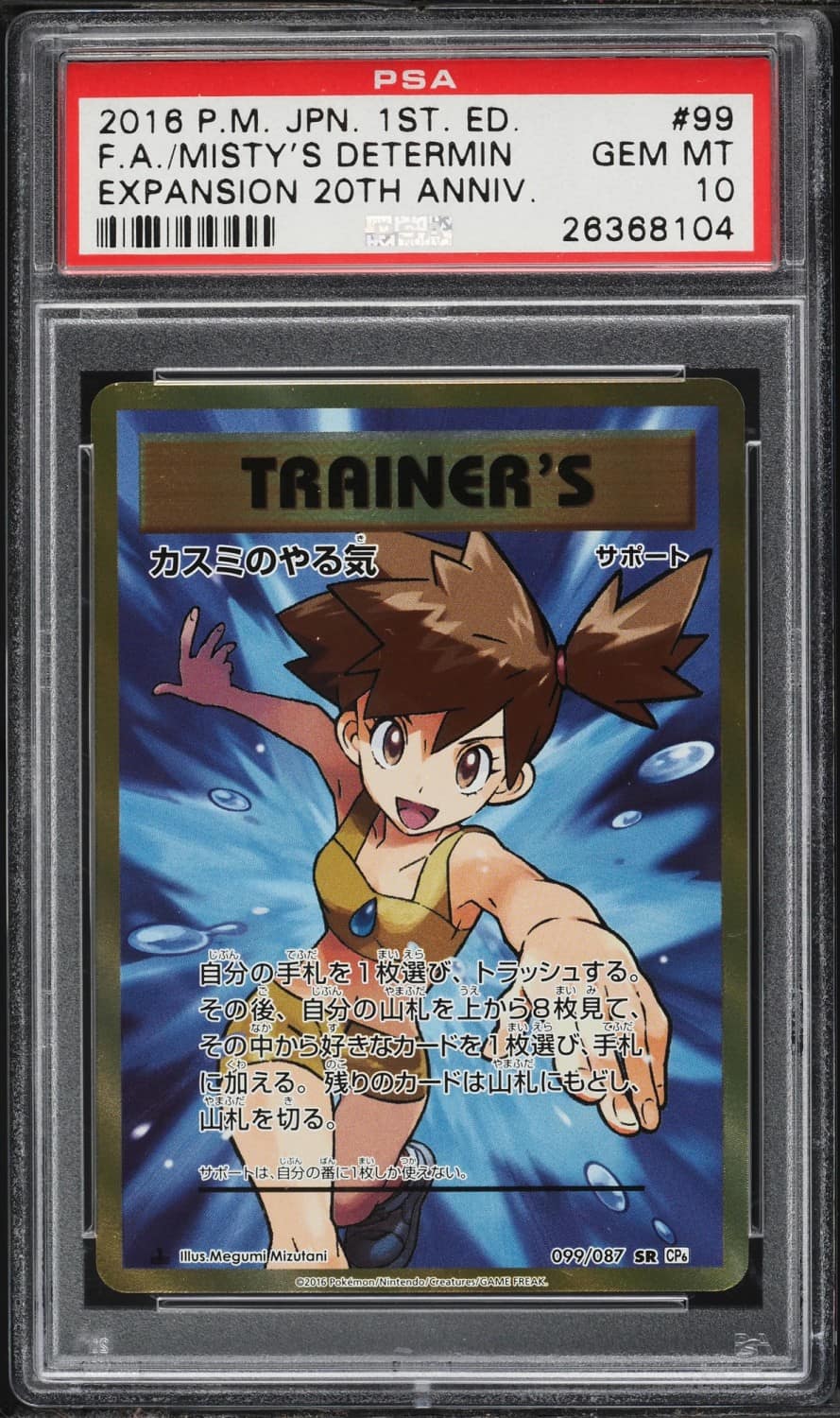 Misty'S Determination