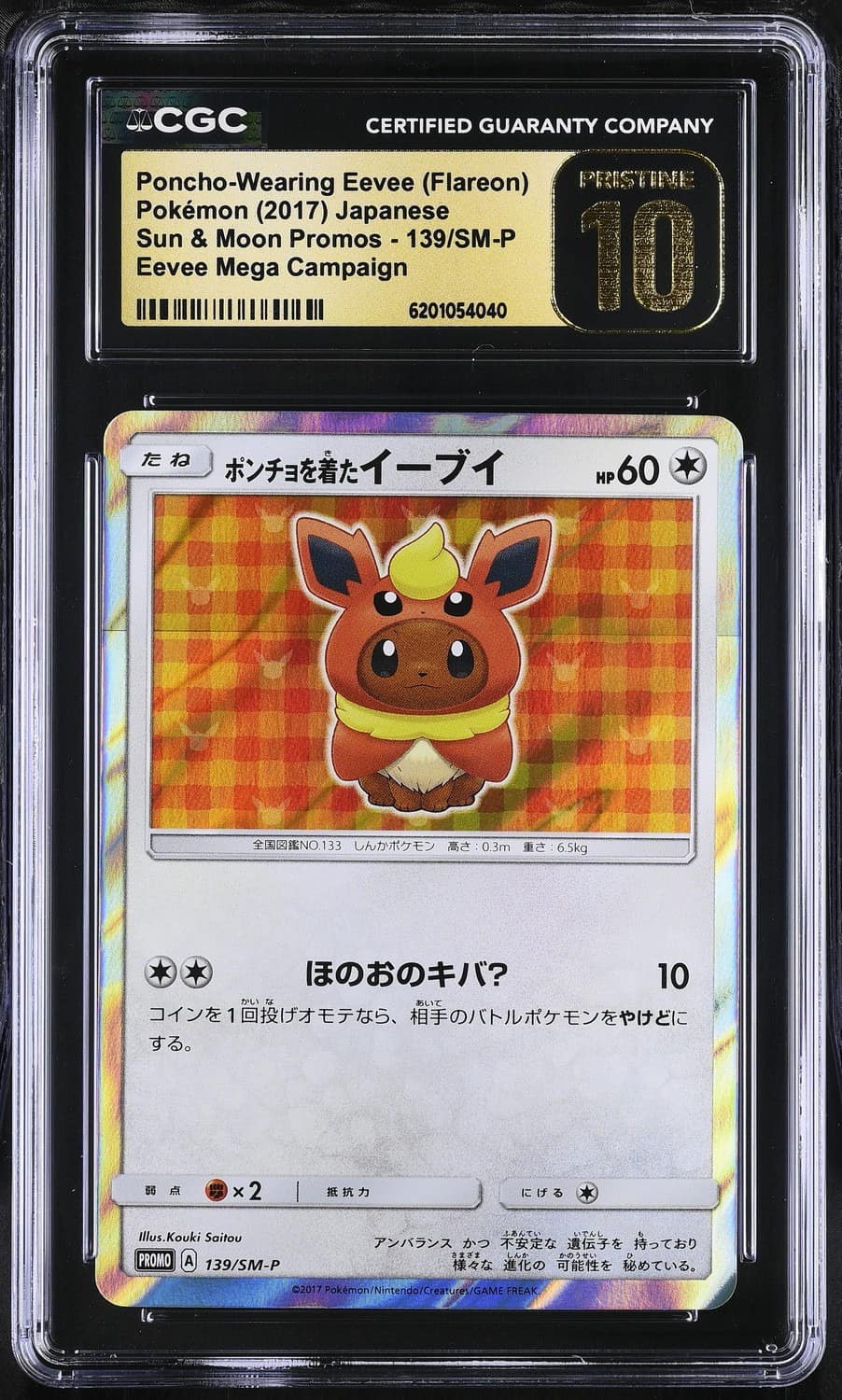Poncho-Wearing Eevee