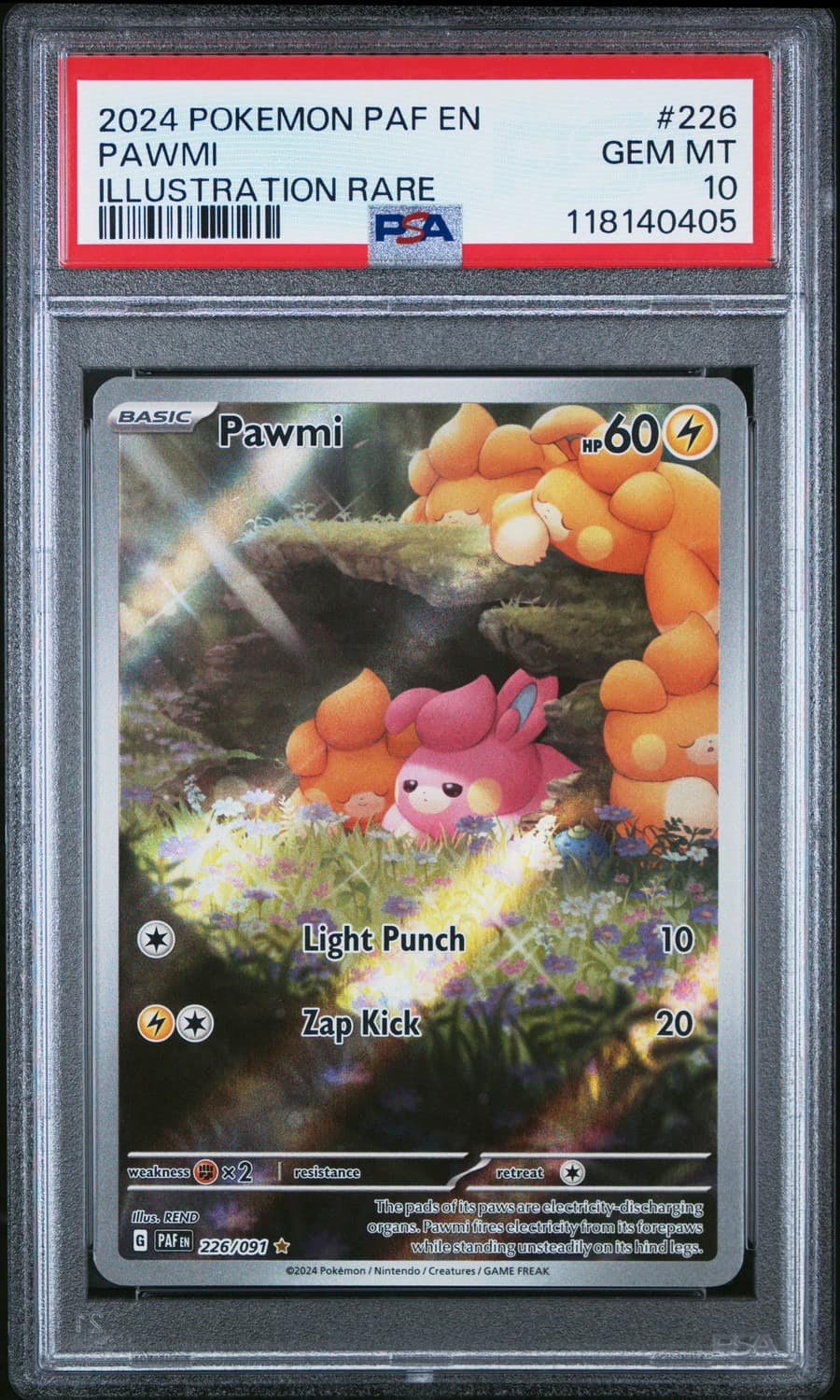 Pawmi