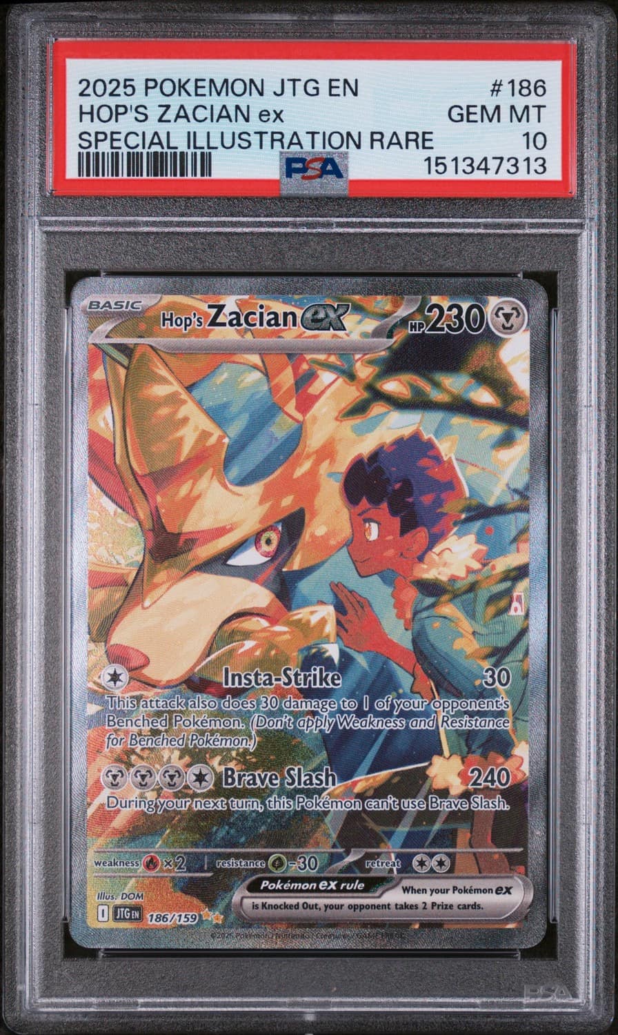 Hop'S Zacian Ex