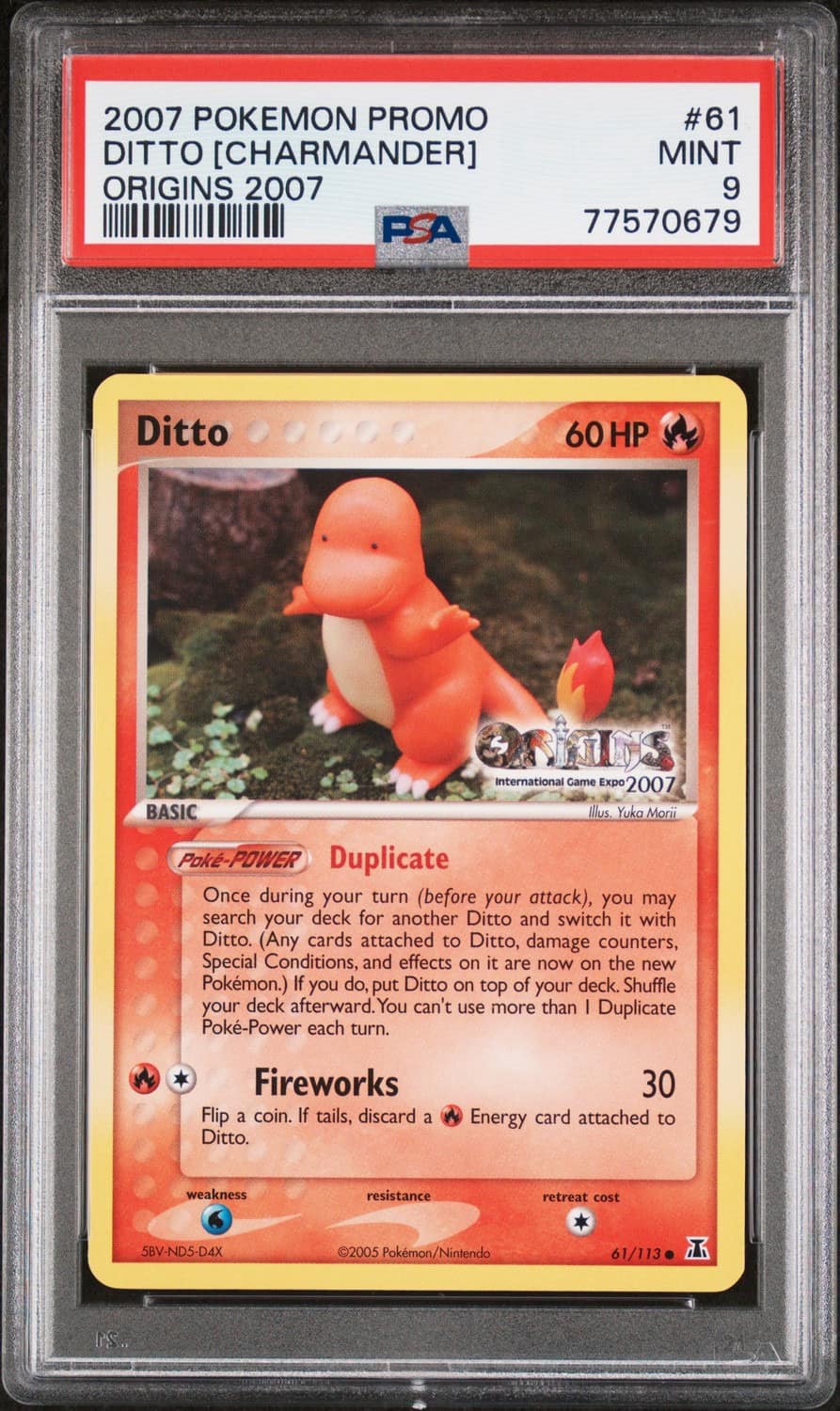 Ditto [charmander]