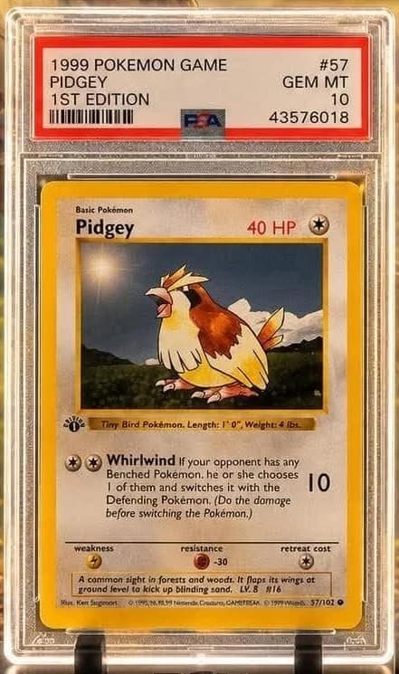 Pidgey