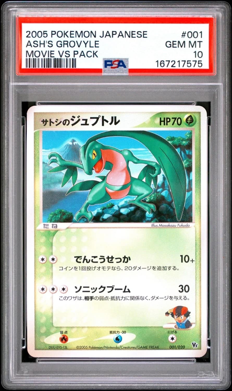 Ash'S Grovyle