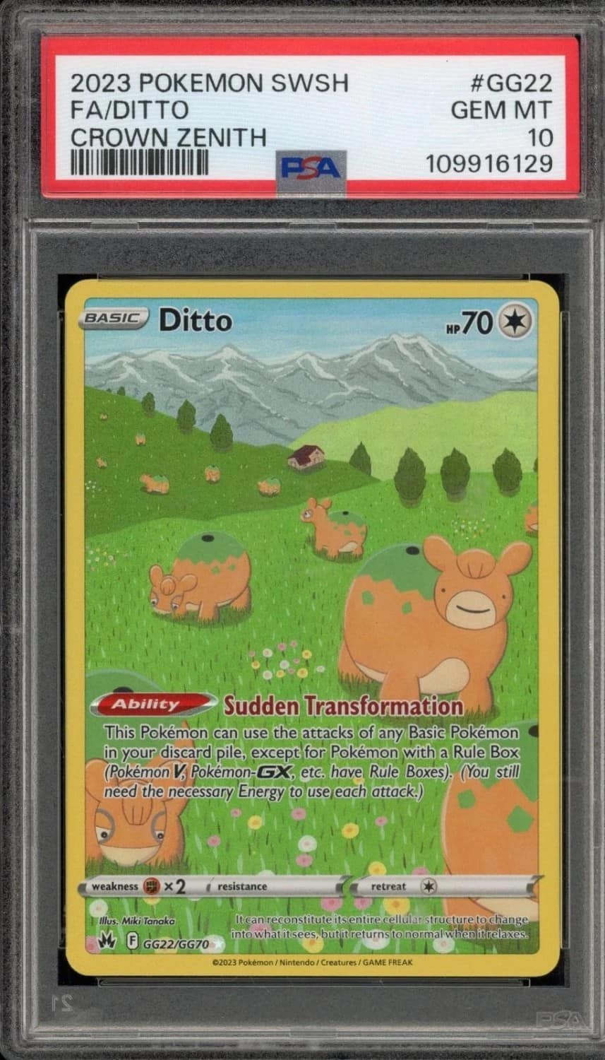 Ditto