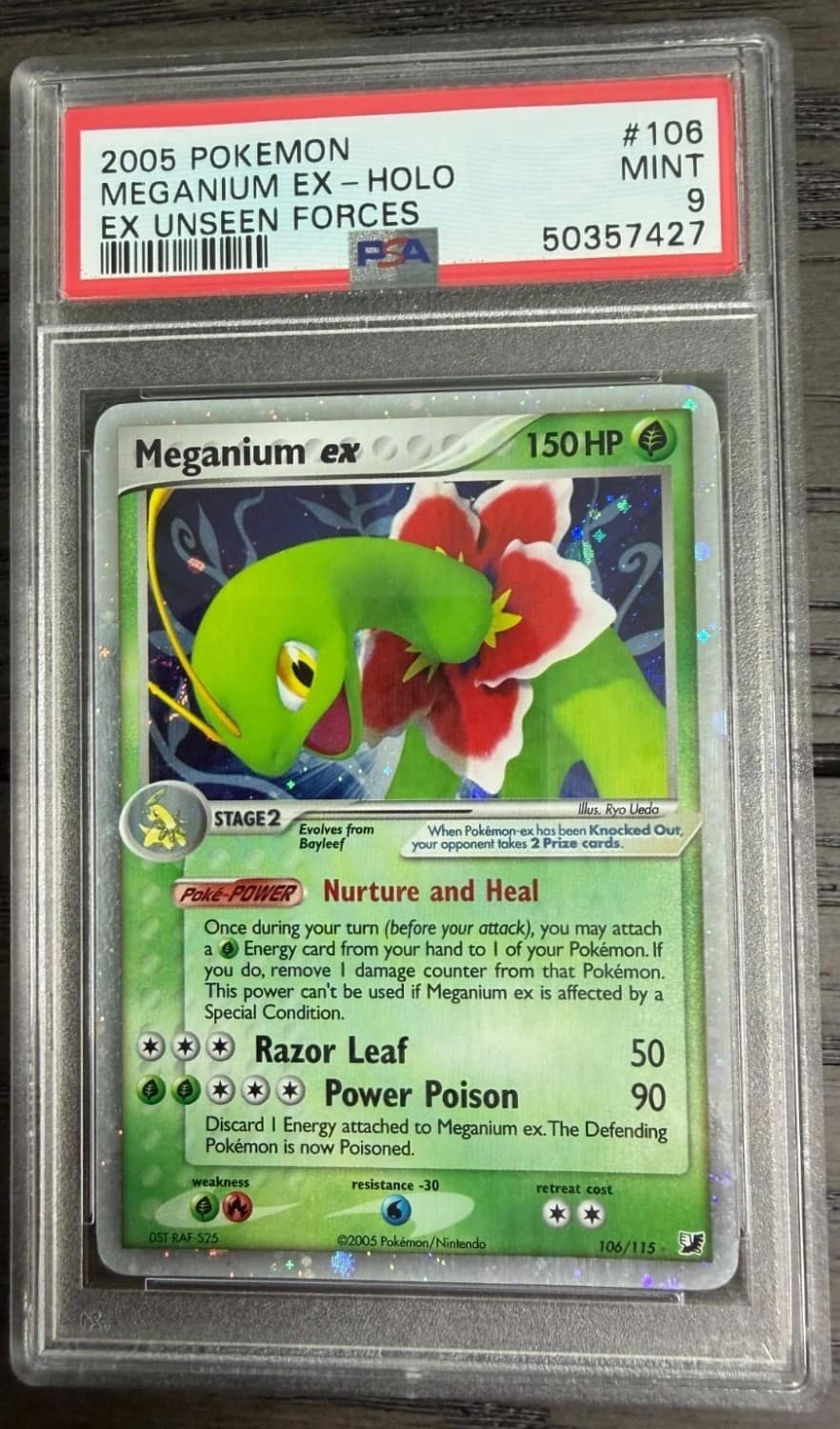 Meganium Ex