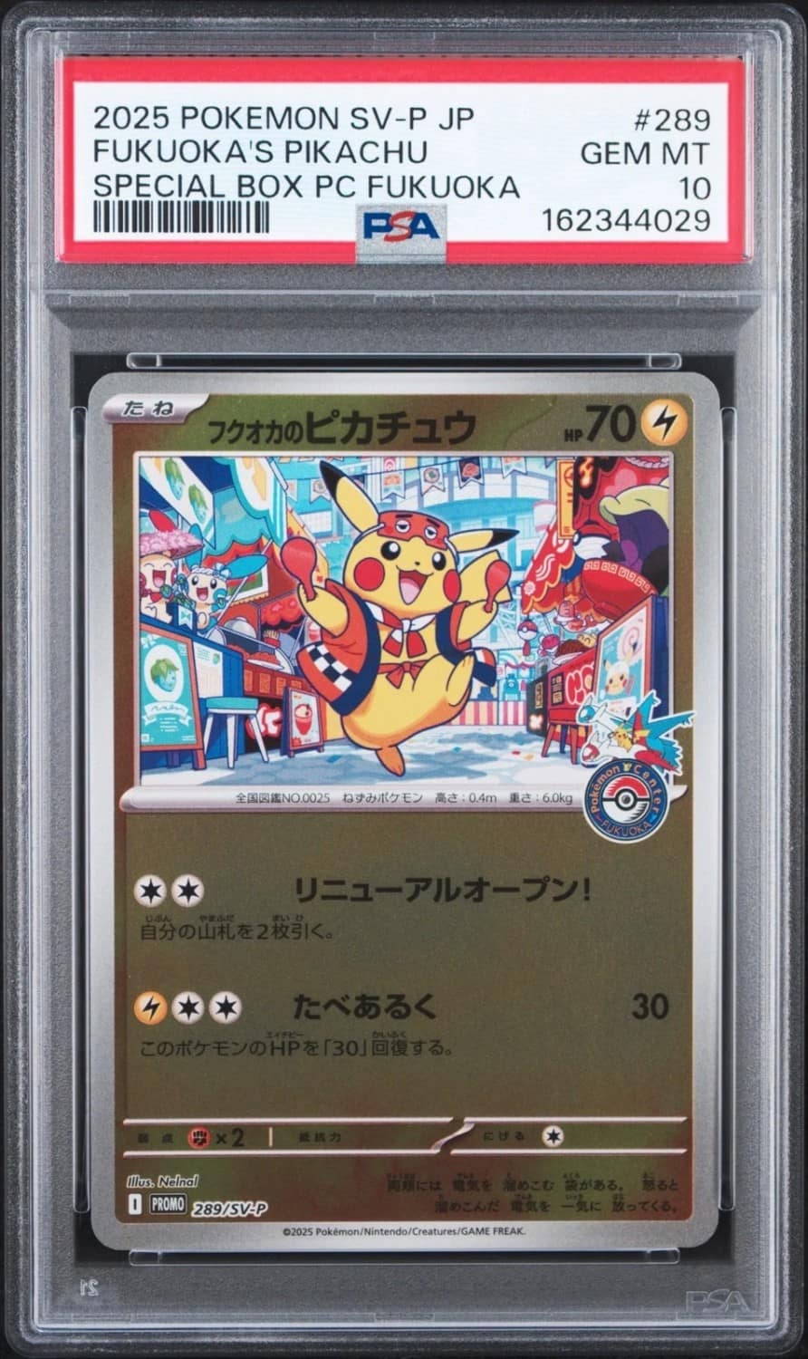 Fukuoka'S Pikachu