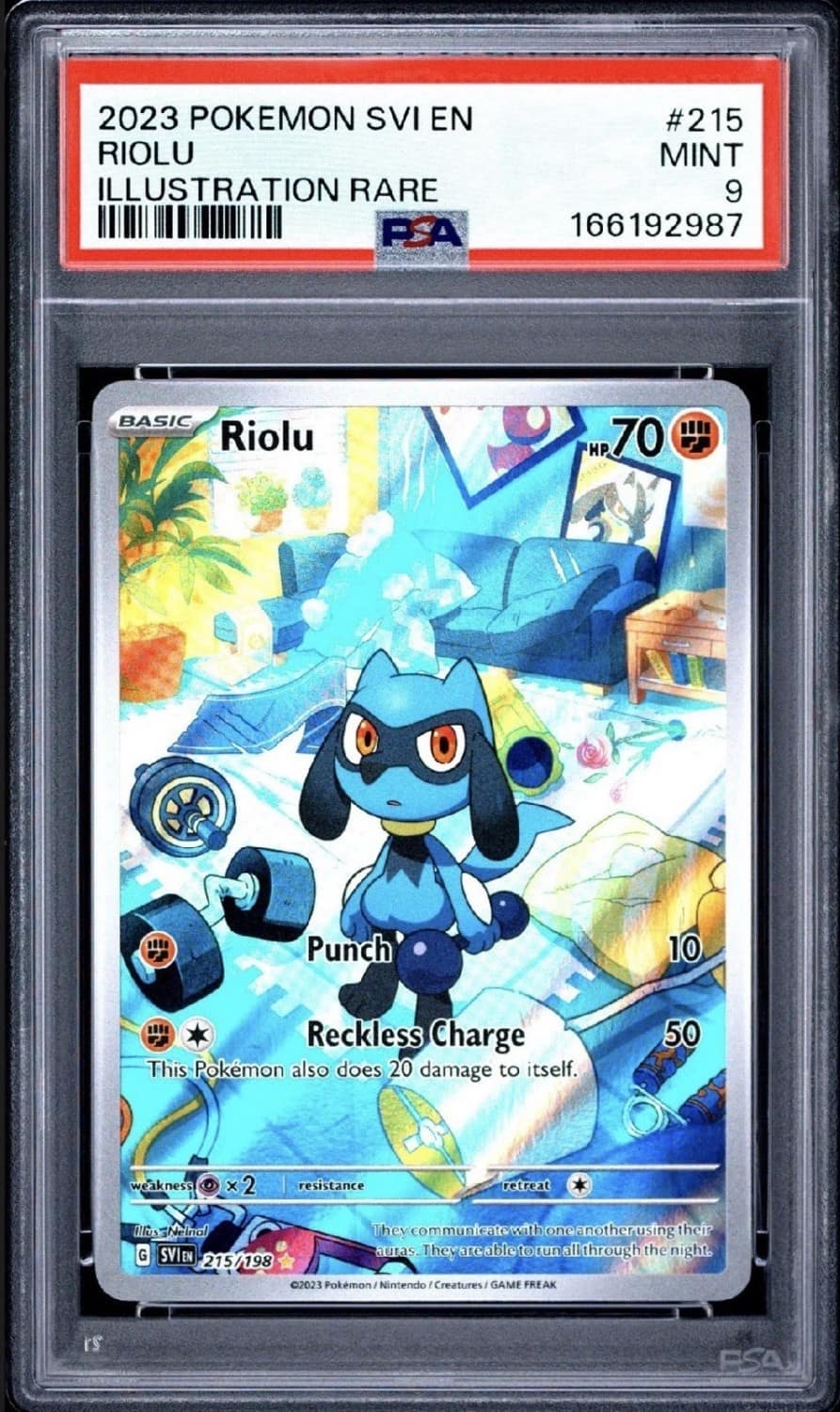 Riolu