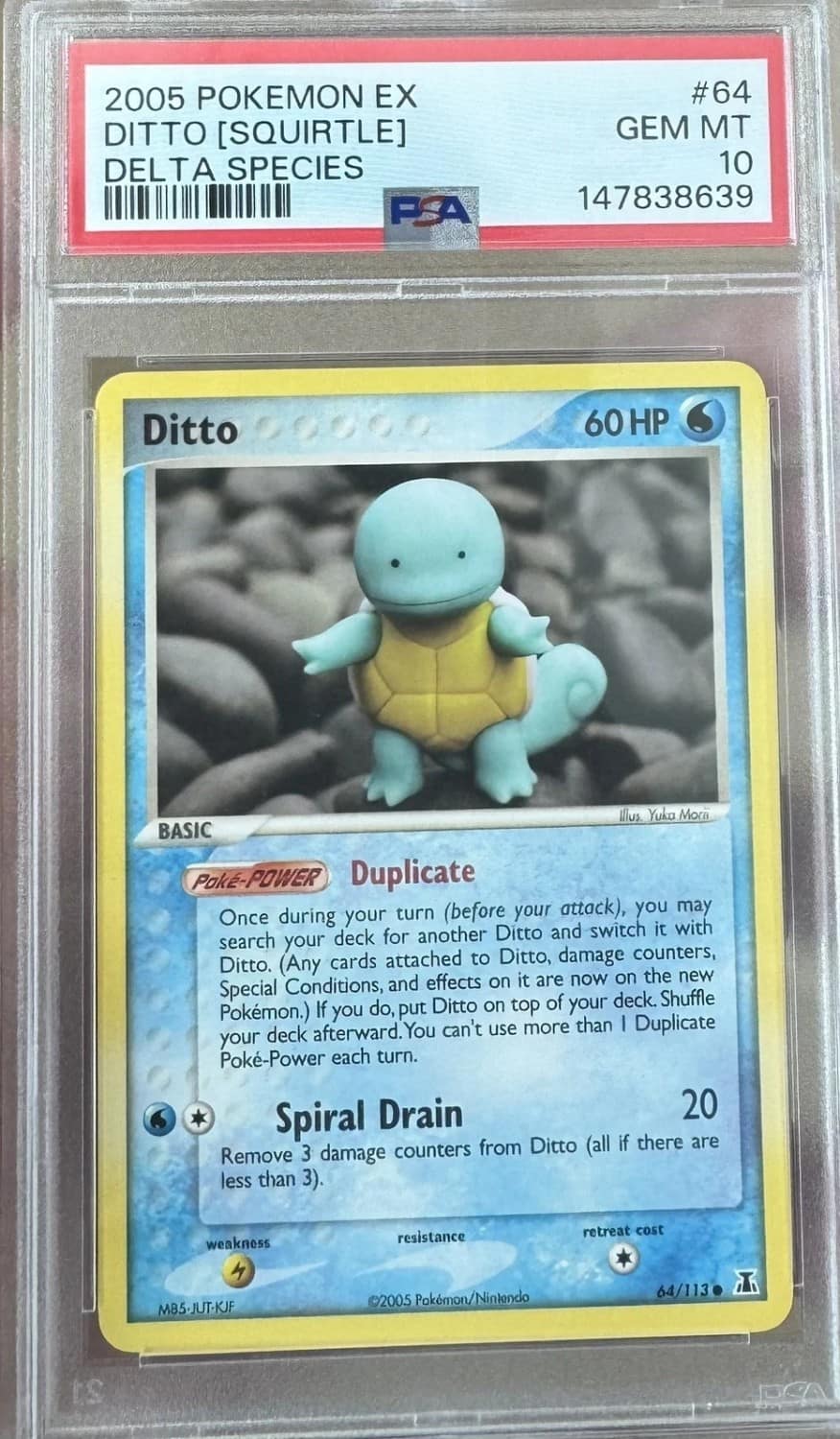 Ditto [squirtle]