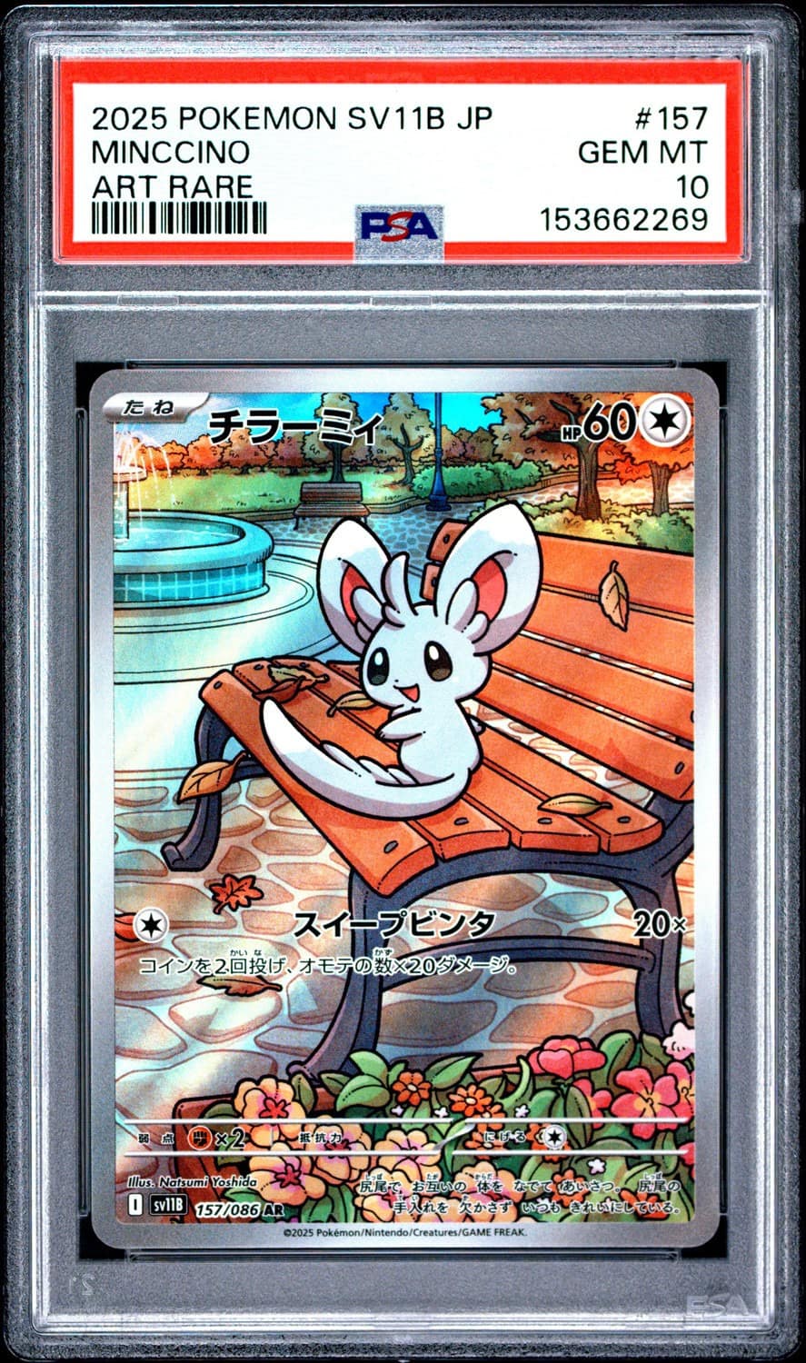 Minccino