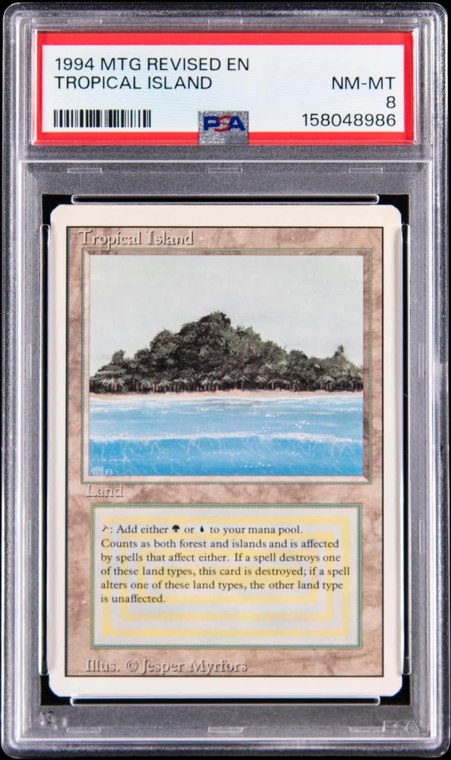 Tropical Island