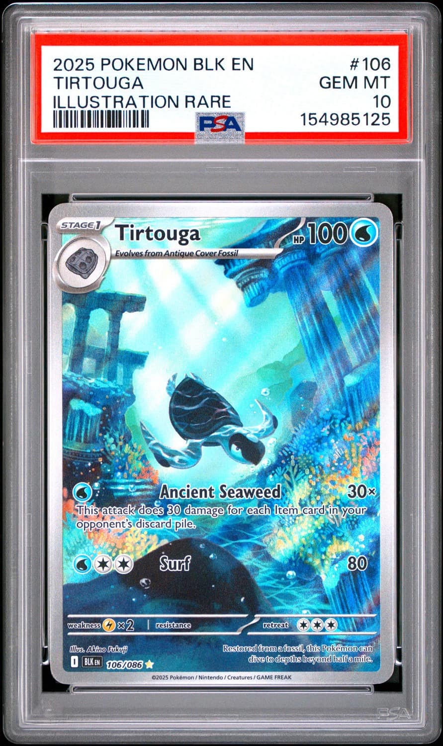 Tirtouga