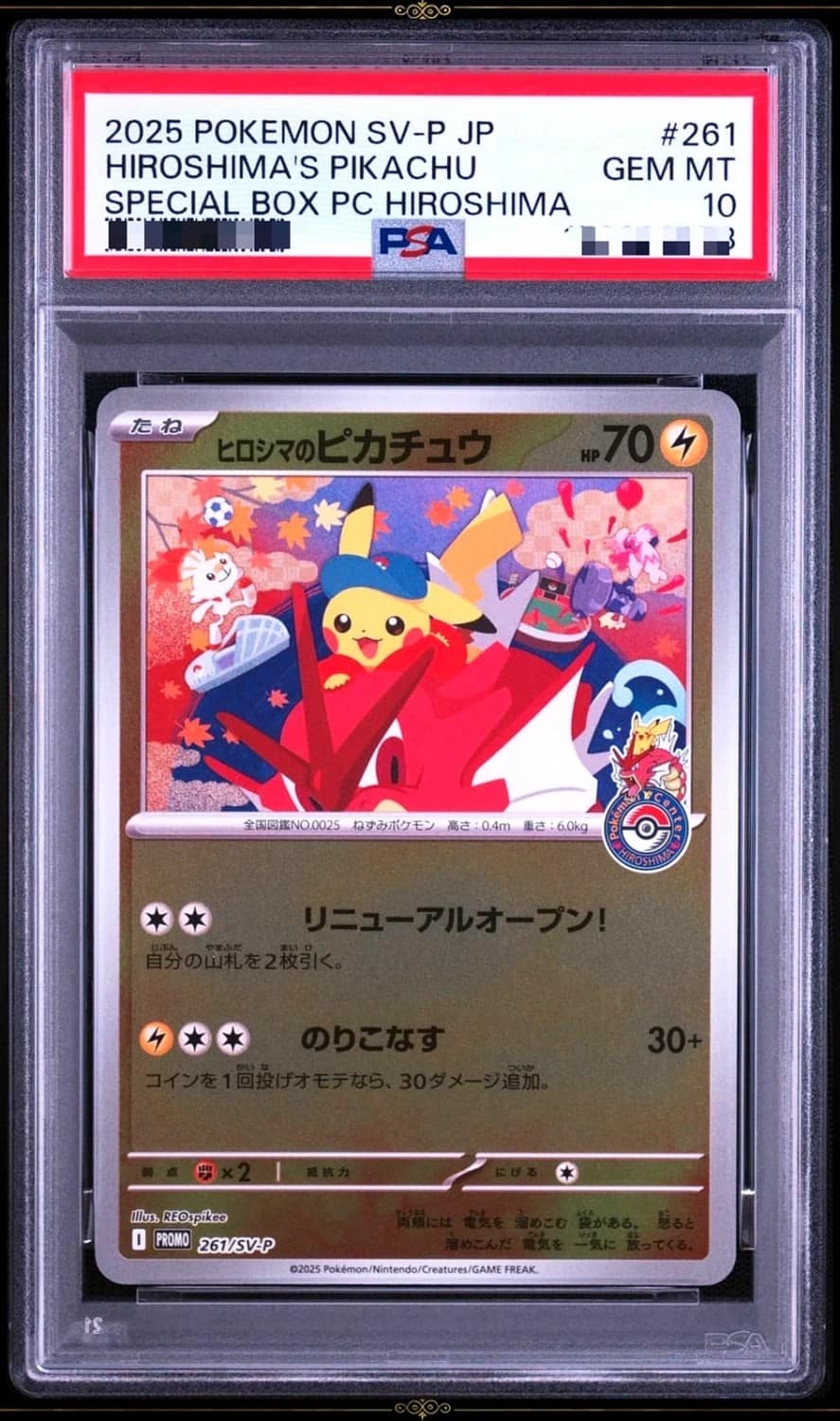 Hiroshima'S Pikachu
