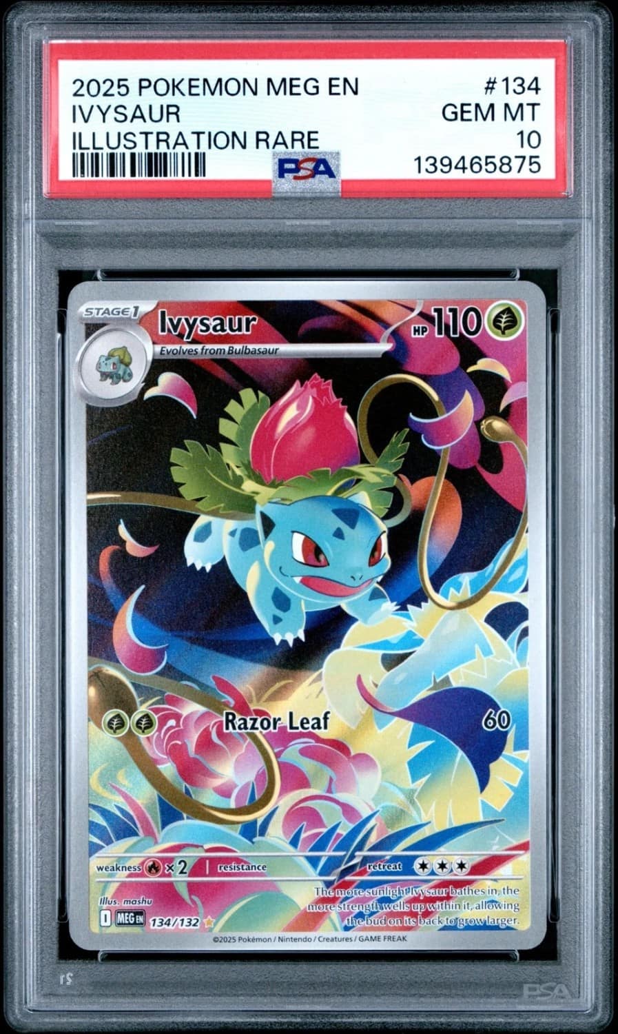 Ivysaur