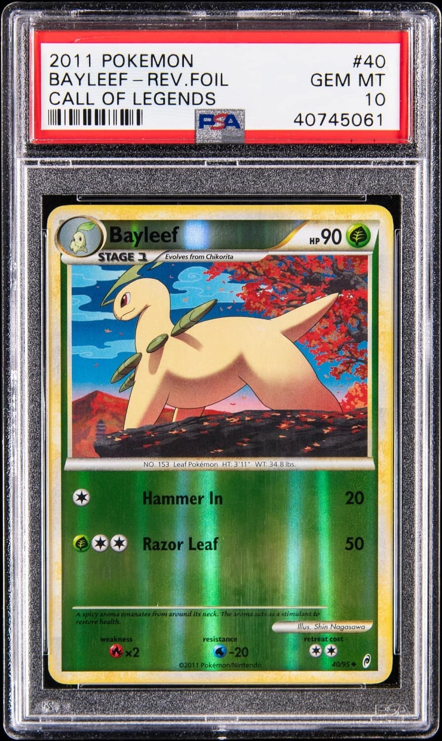 Bayleef