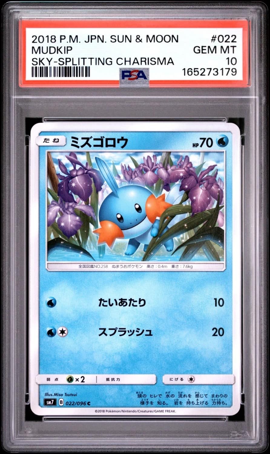 Mudkip