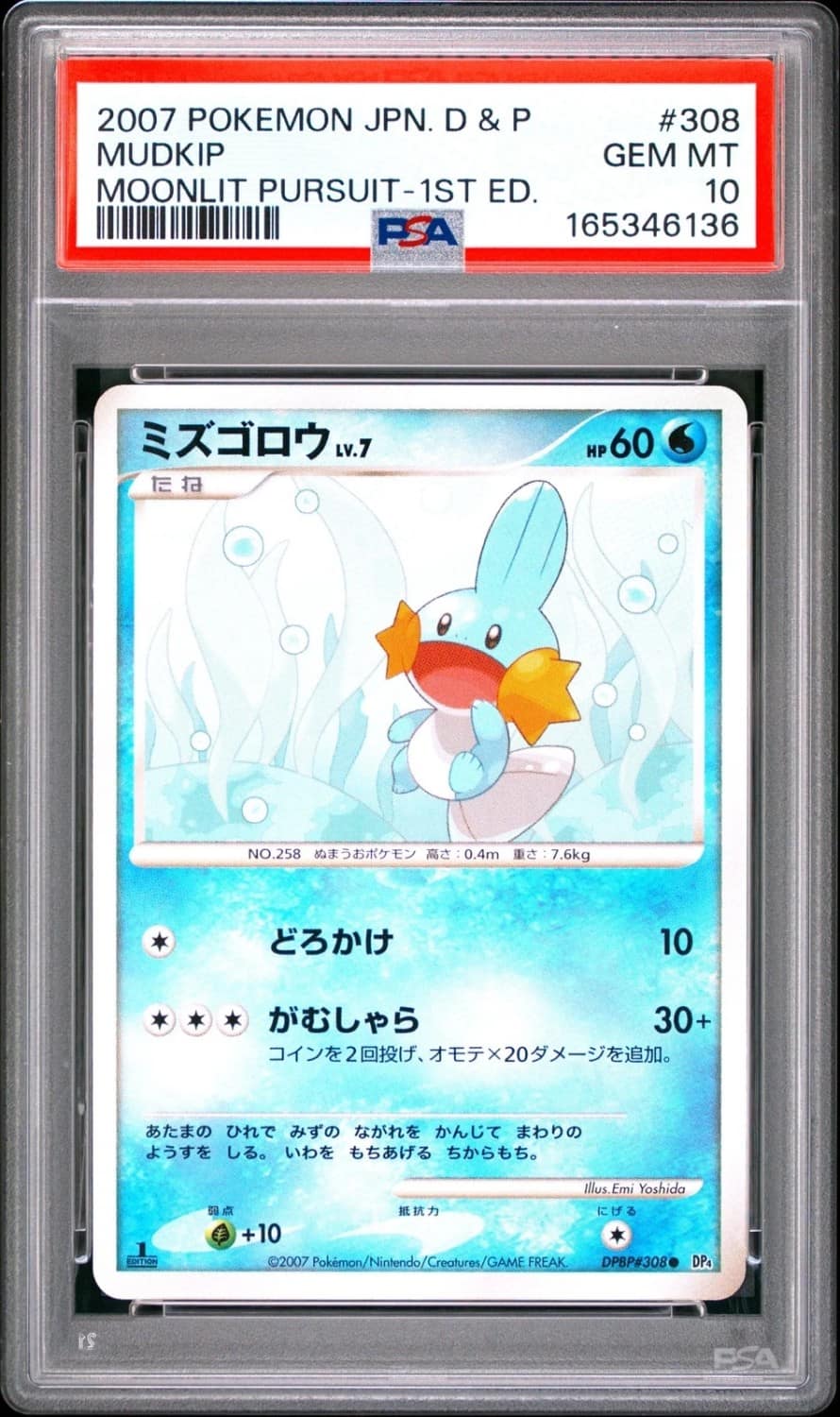 Mudkip