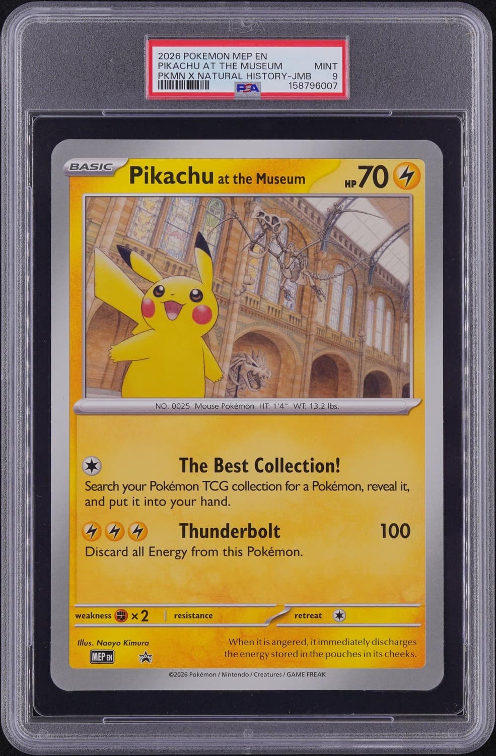 Pikachu At The Museum