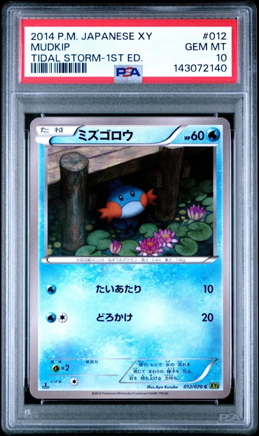 Mudkip
