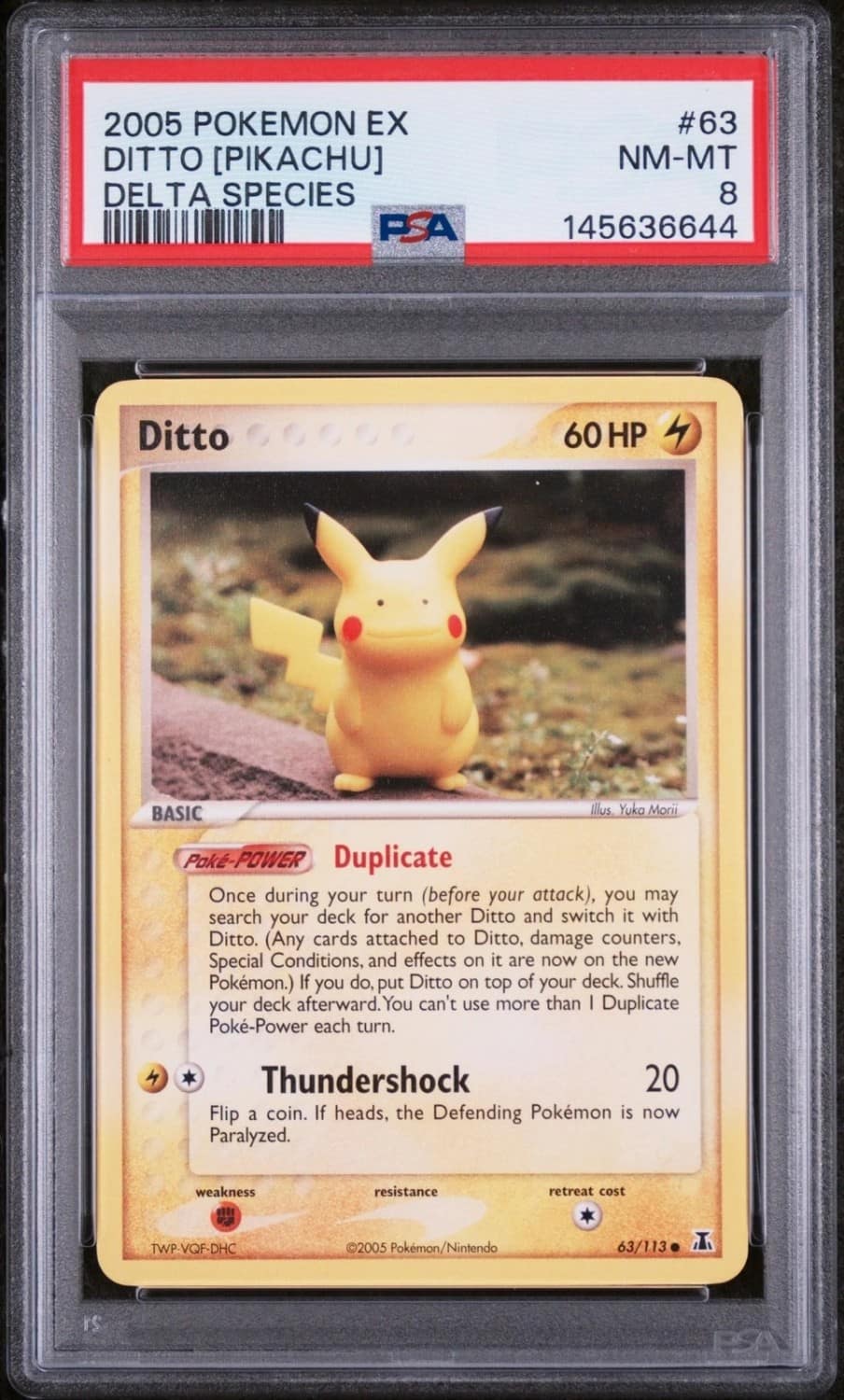 Ditto [pikachu]