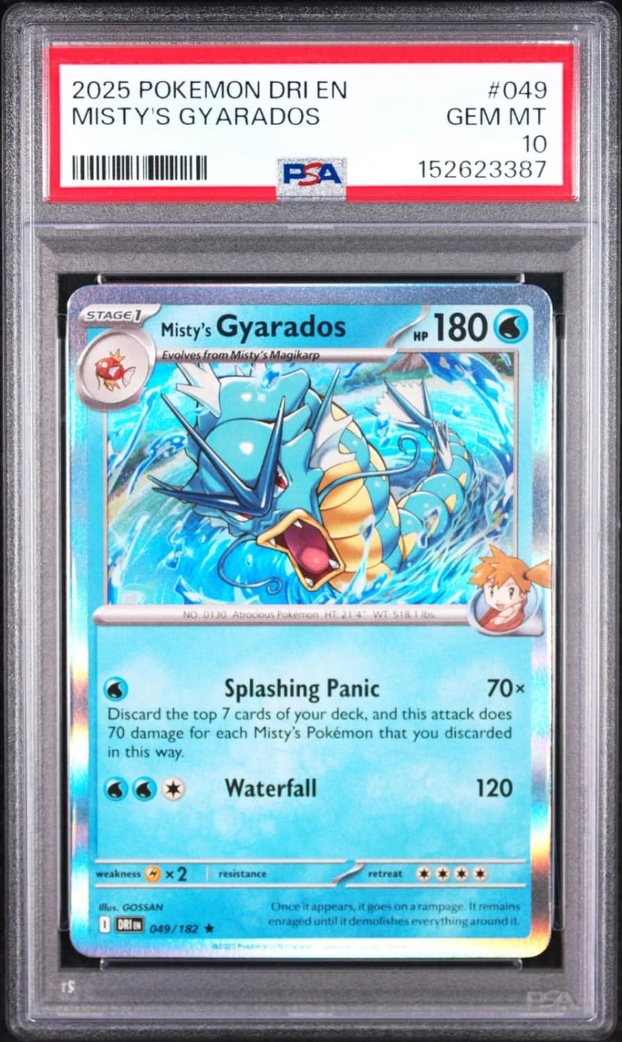 Misty'S Gyarados