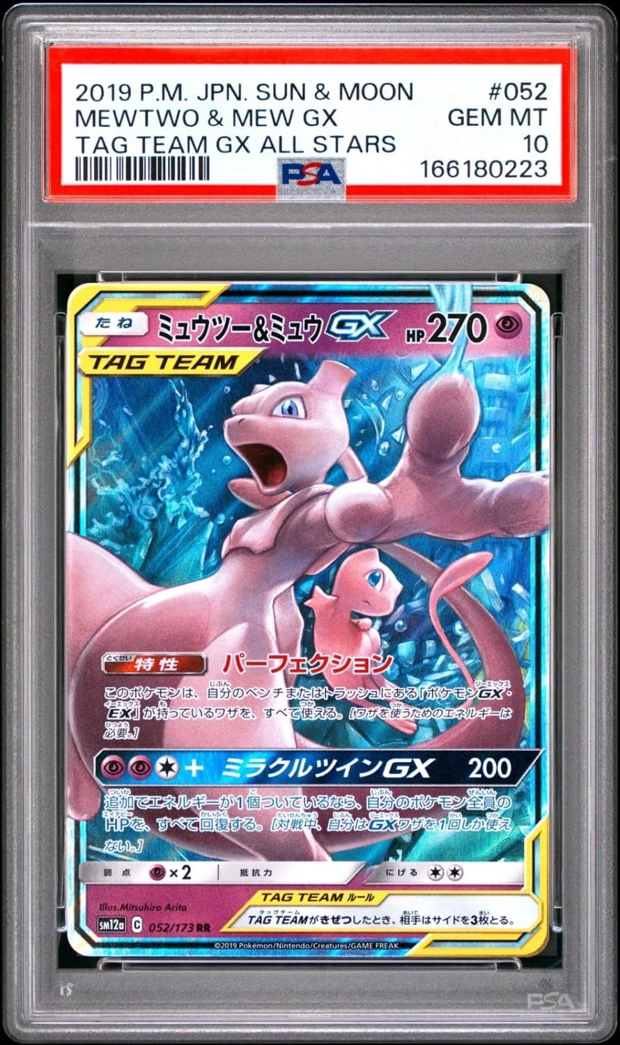 Mewtwo & Mew Gx