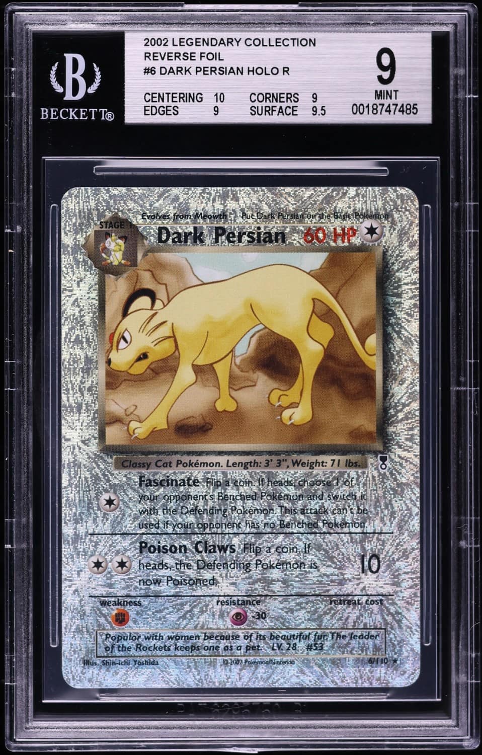 Dark Persian