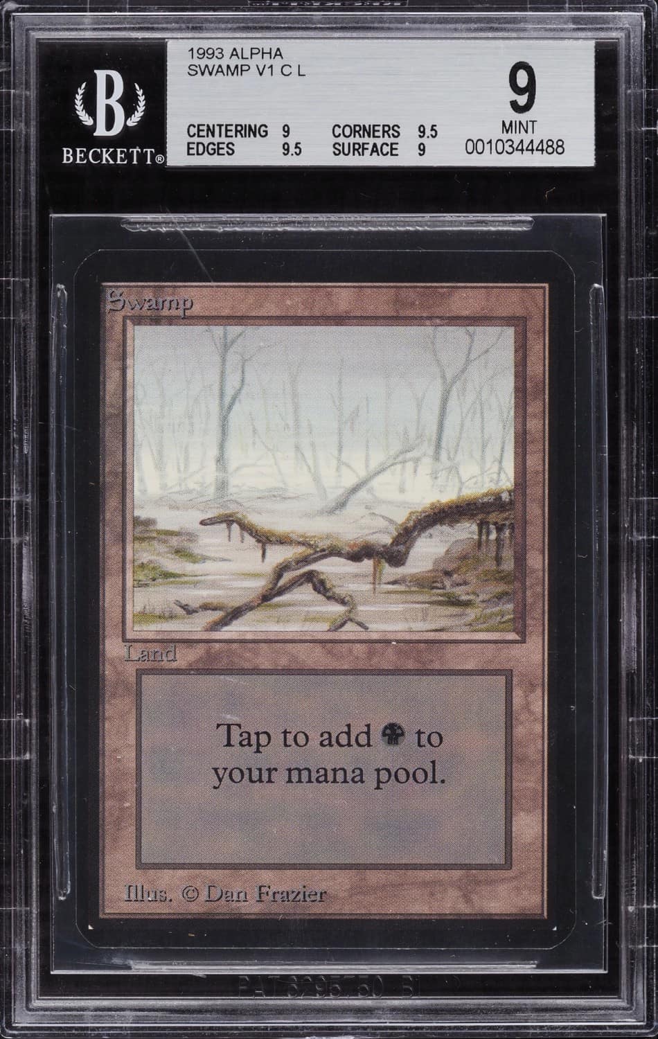 Swamp