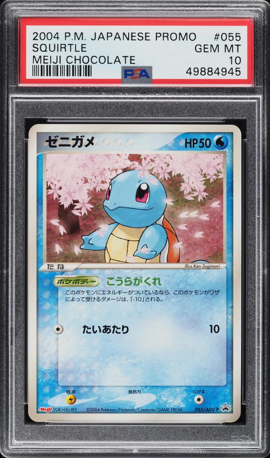 Squirtle