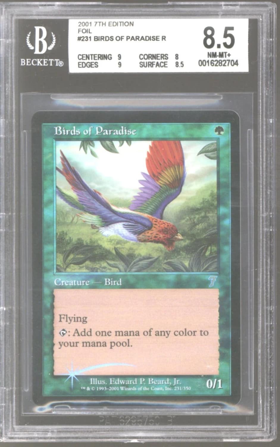 Birds Of Paradise R :g: