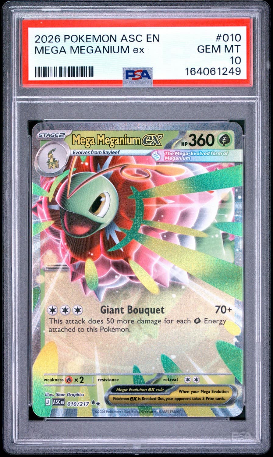 Mega Meganium Ex