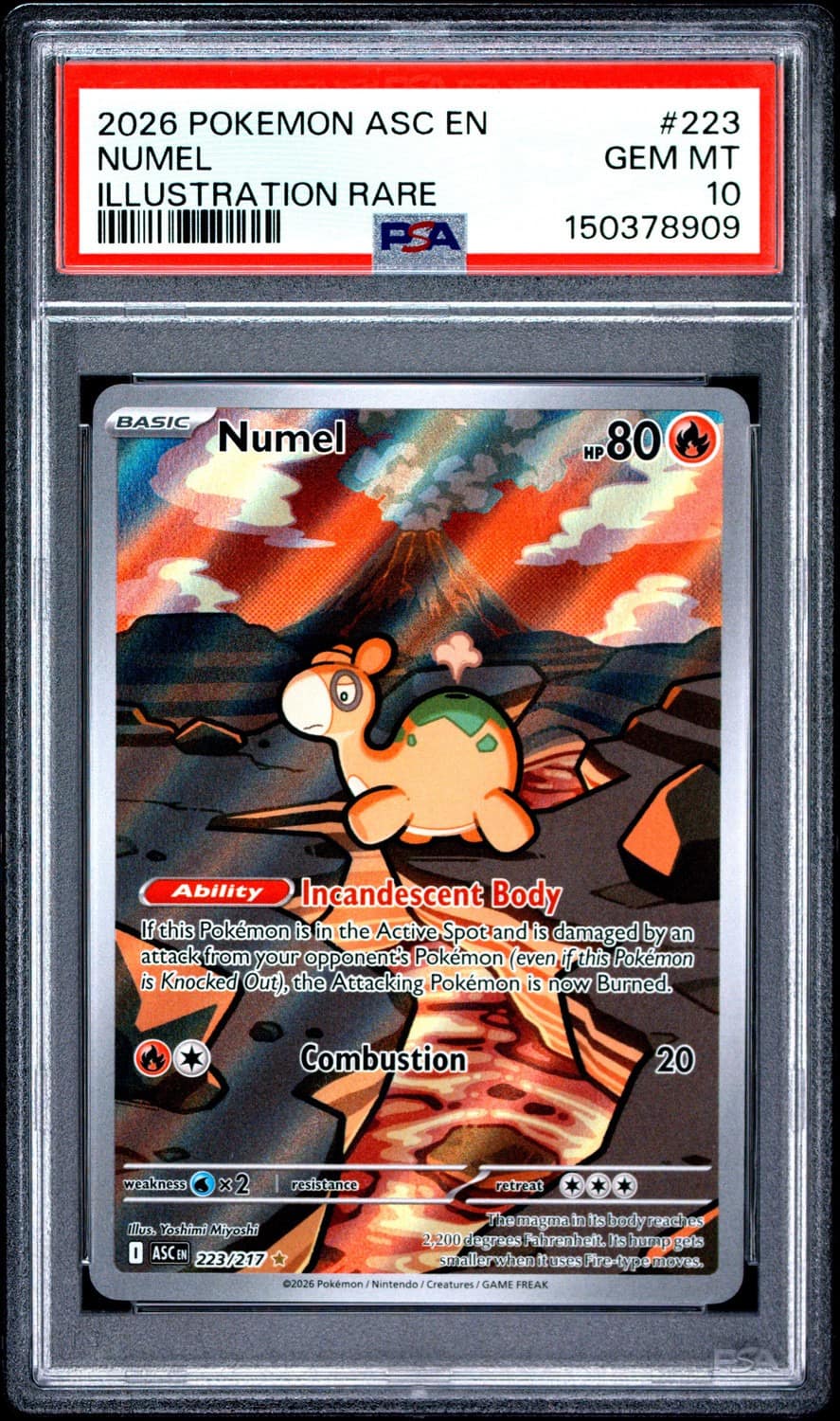 Numel