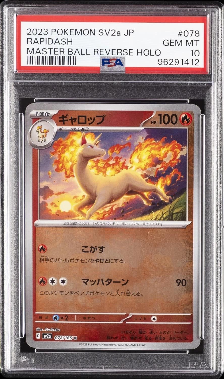 Rapidash