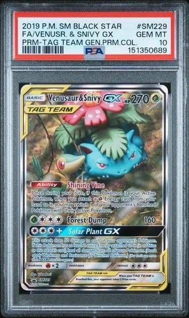Venusaur & Snivy Gx