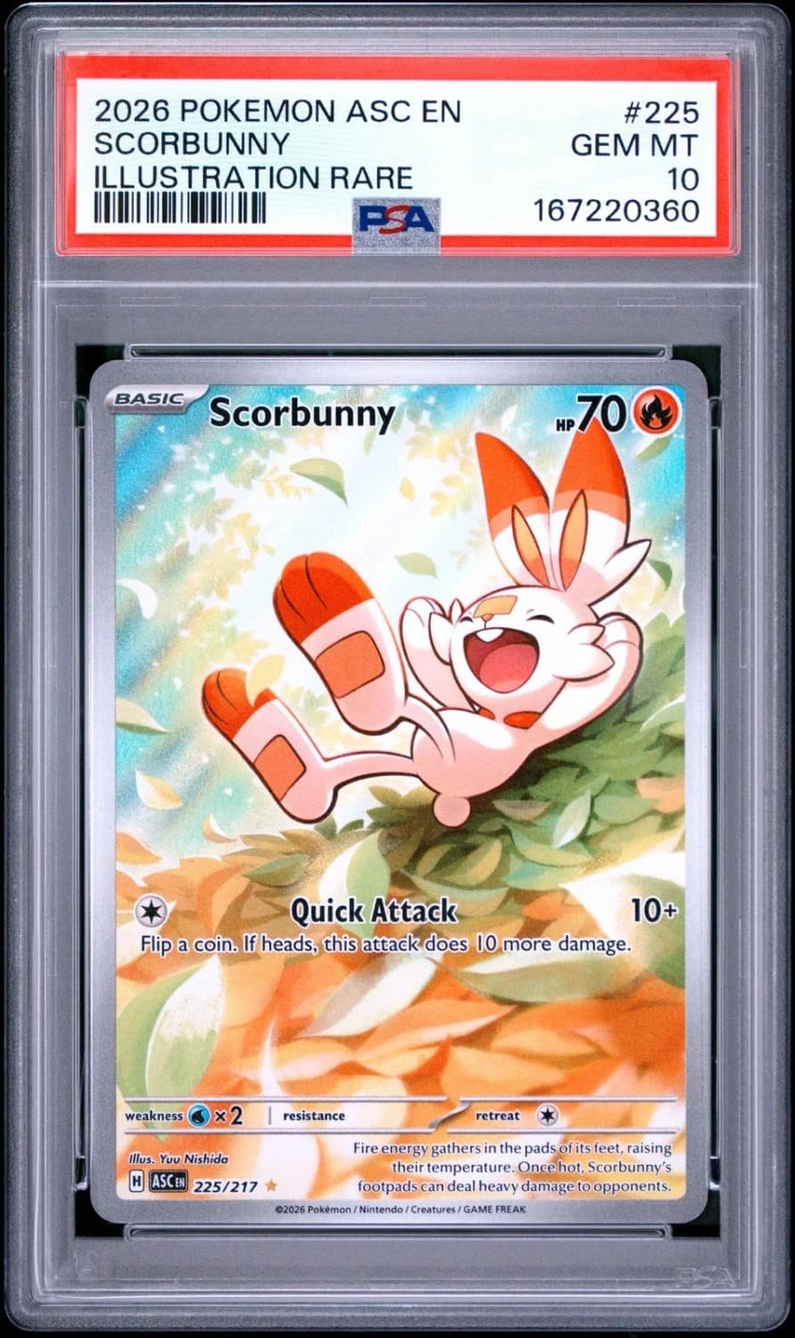 Scorbunny