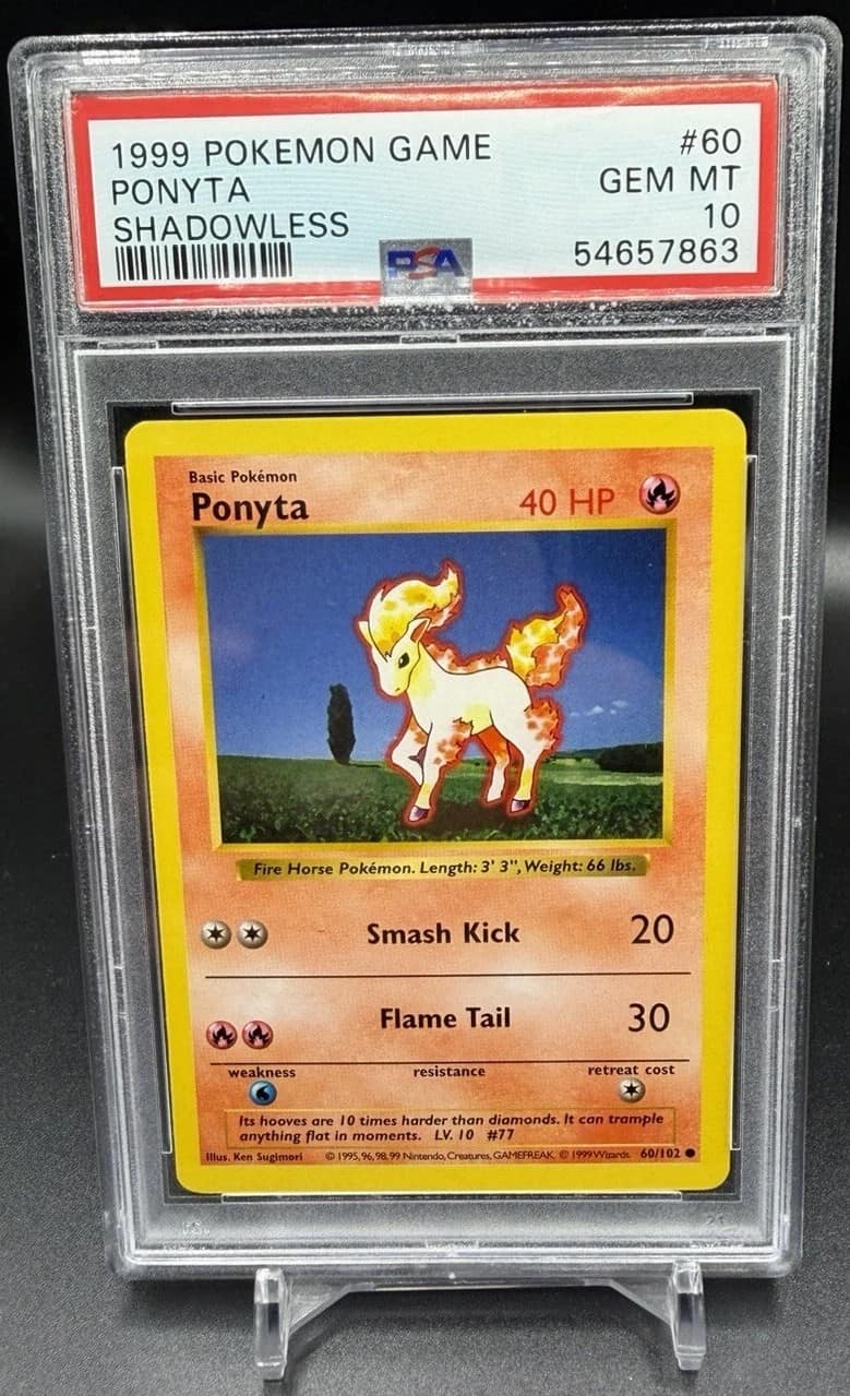 Ponyta