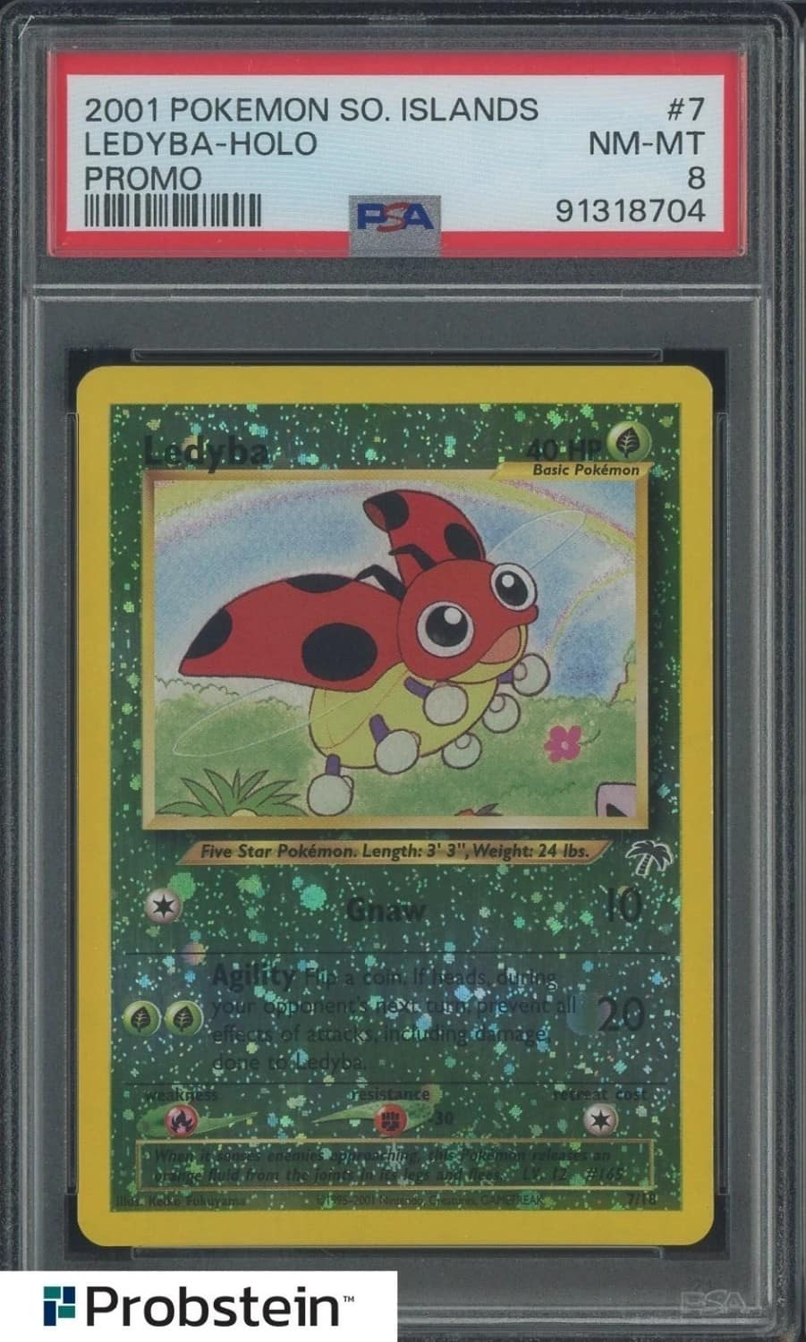 Ledyba