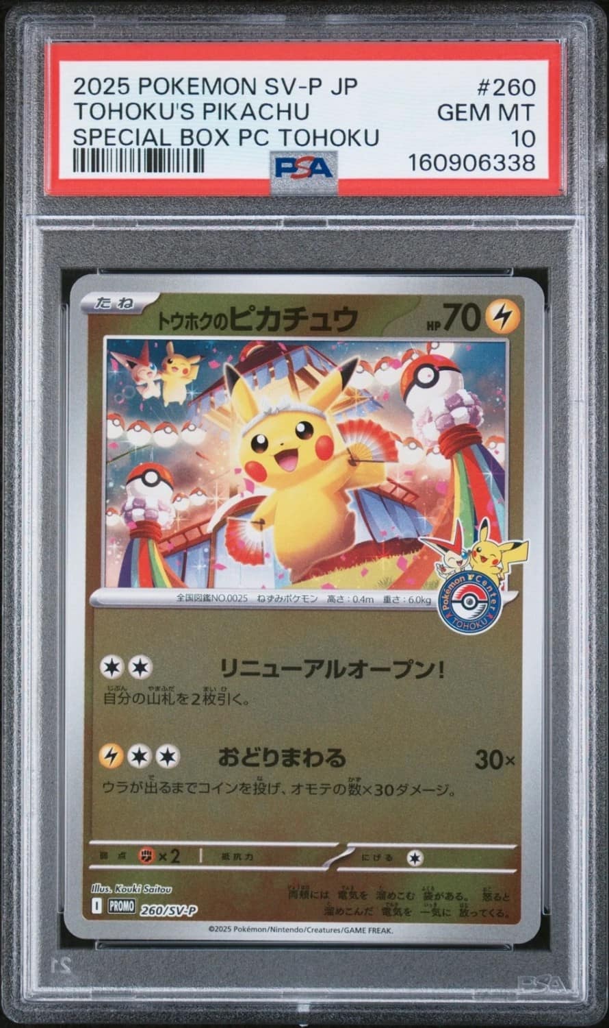 Tohoku'S Pikachu