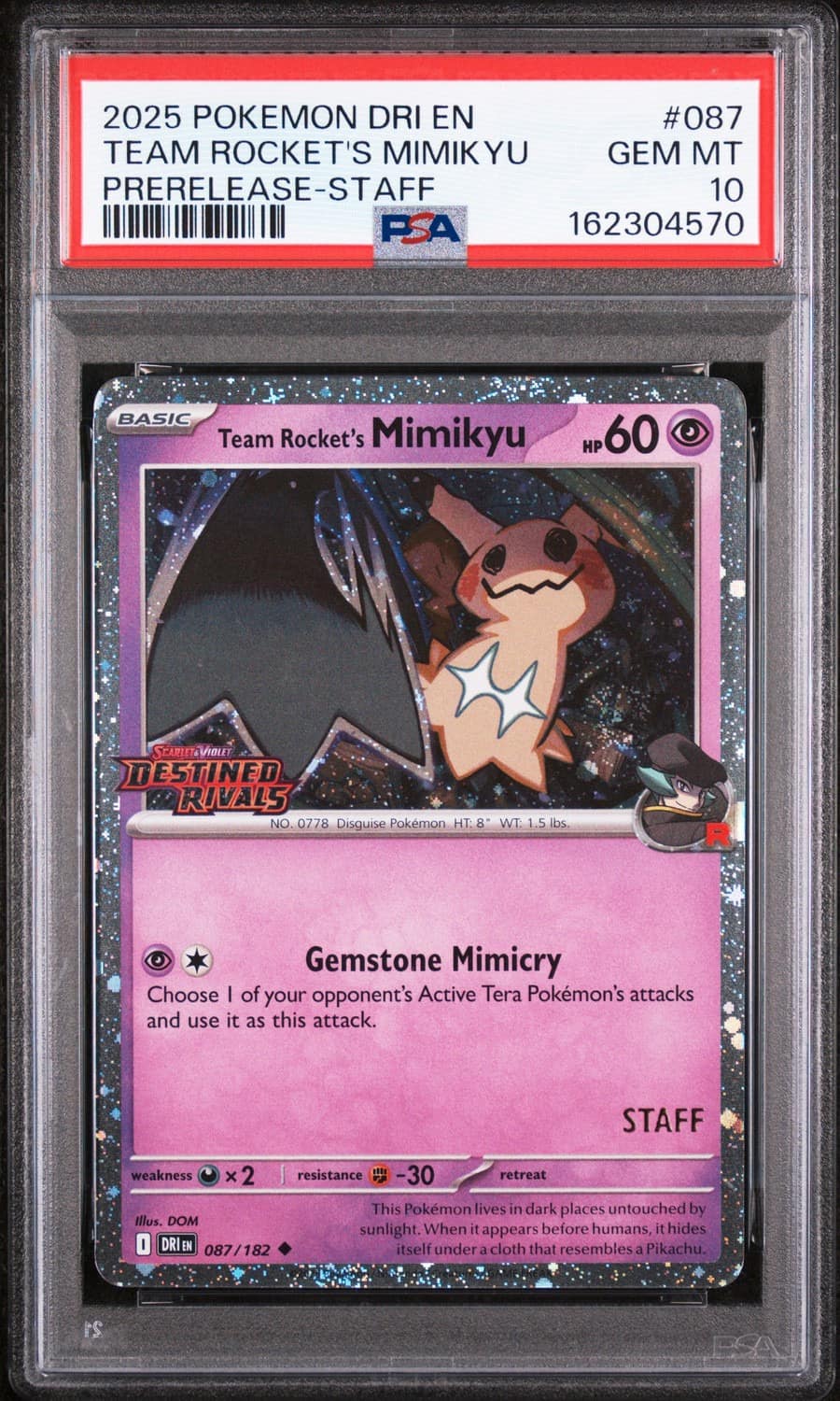 Team Rocket'S Mimikyu
