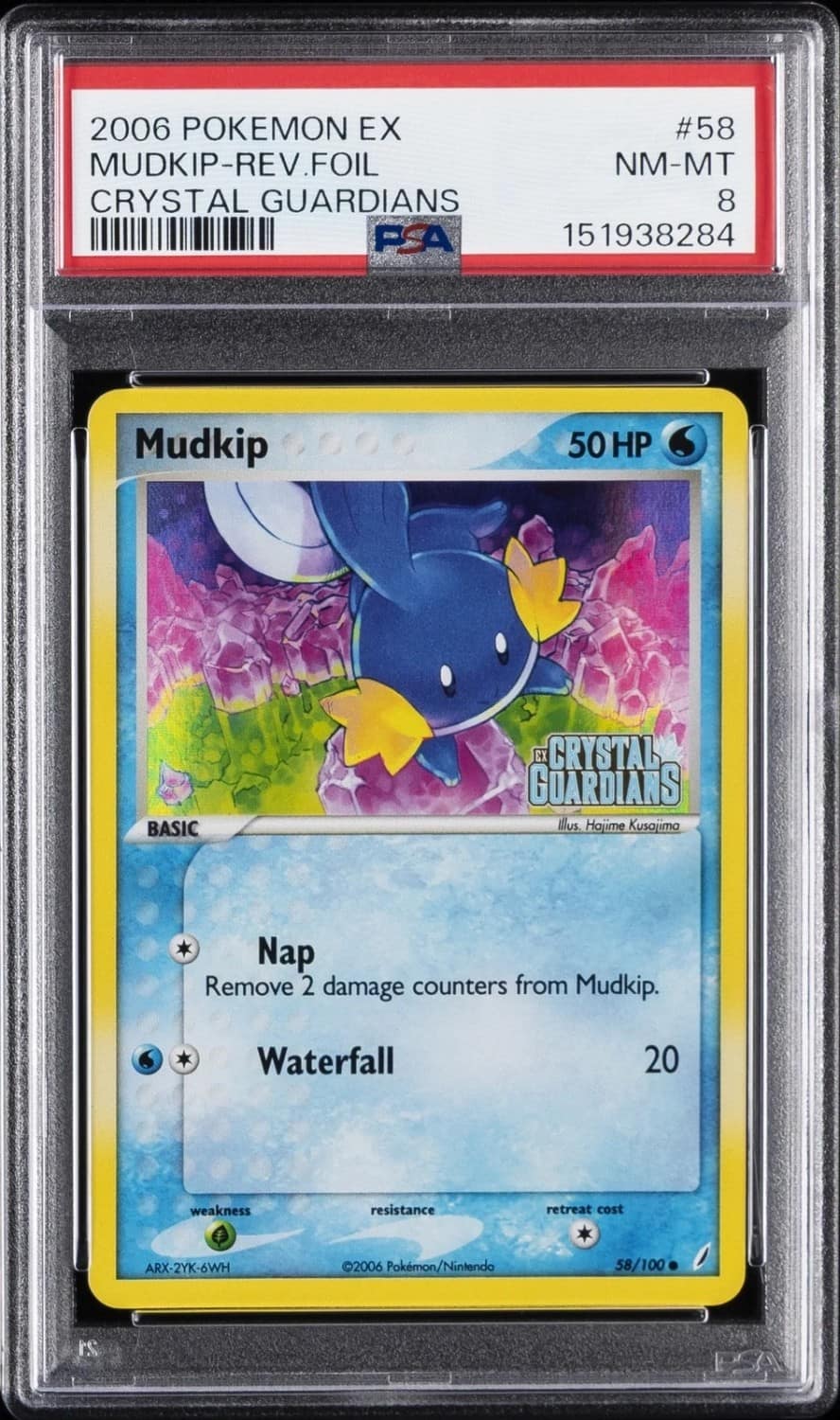 Mudkip