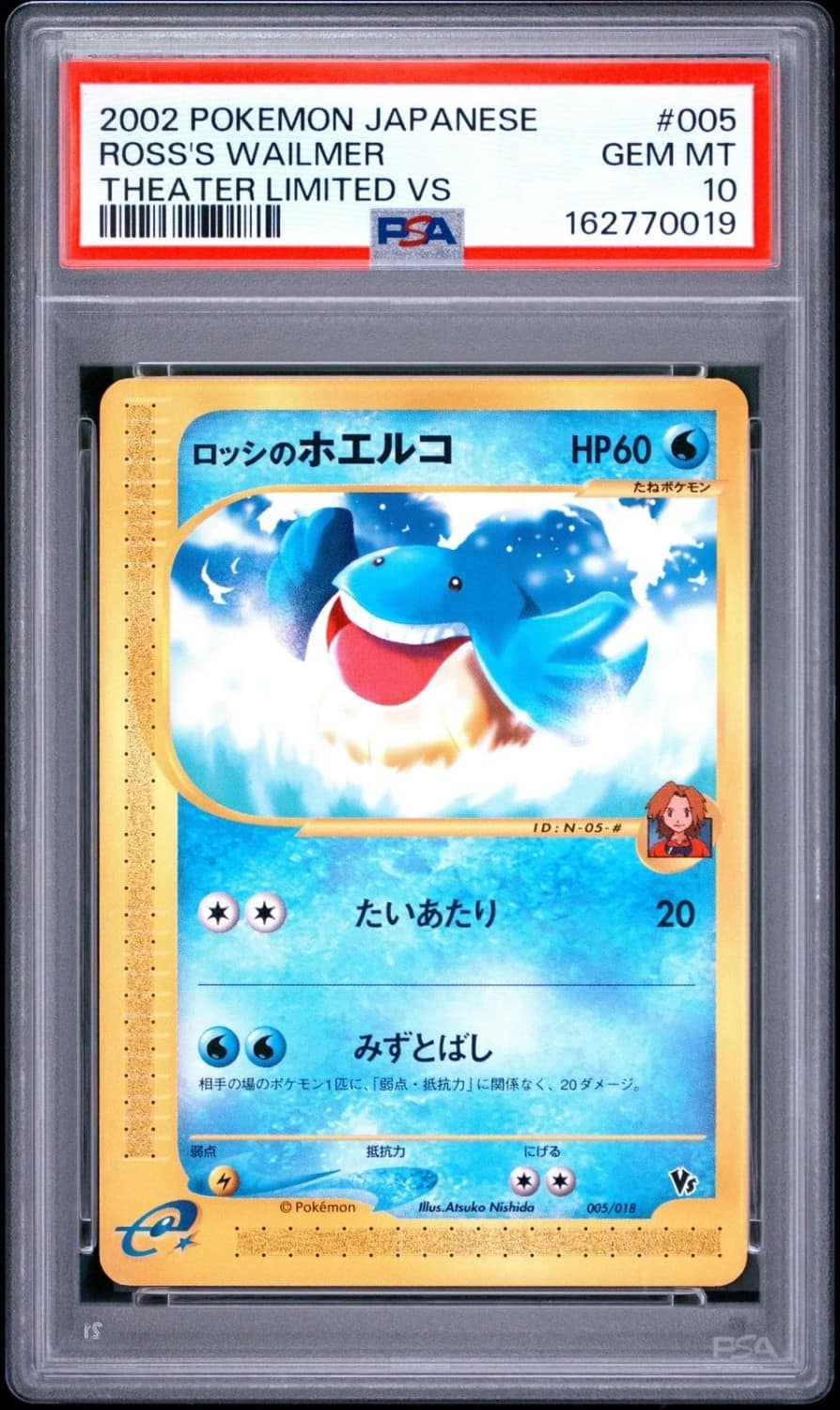 Ross'S Wailmer