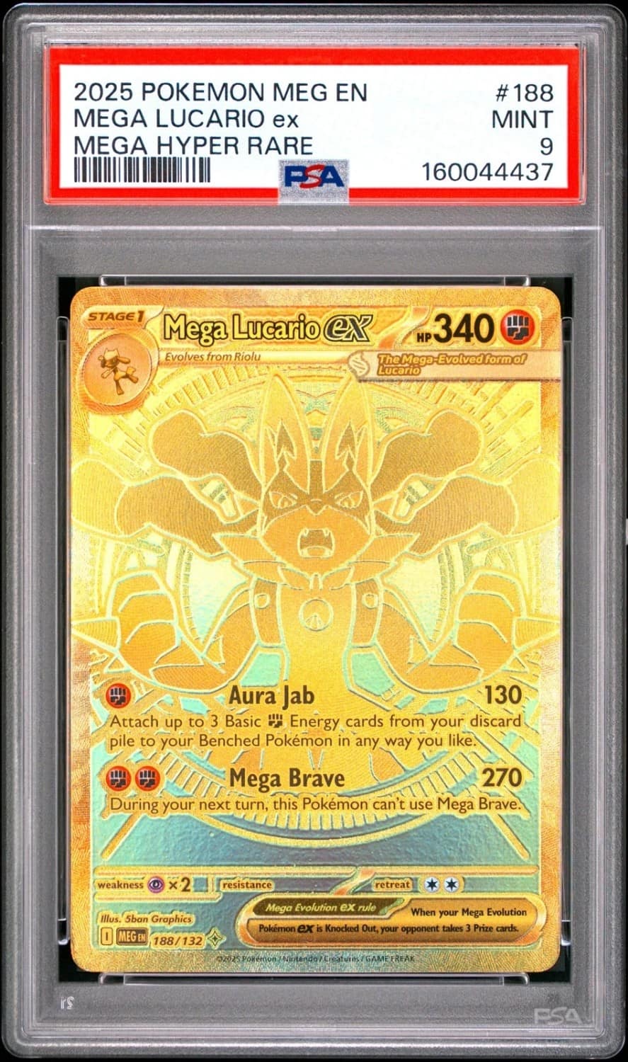 Mega Lucario Ex