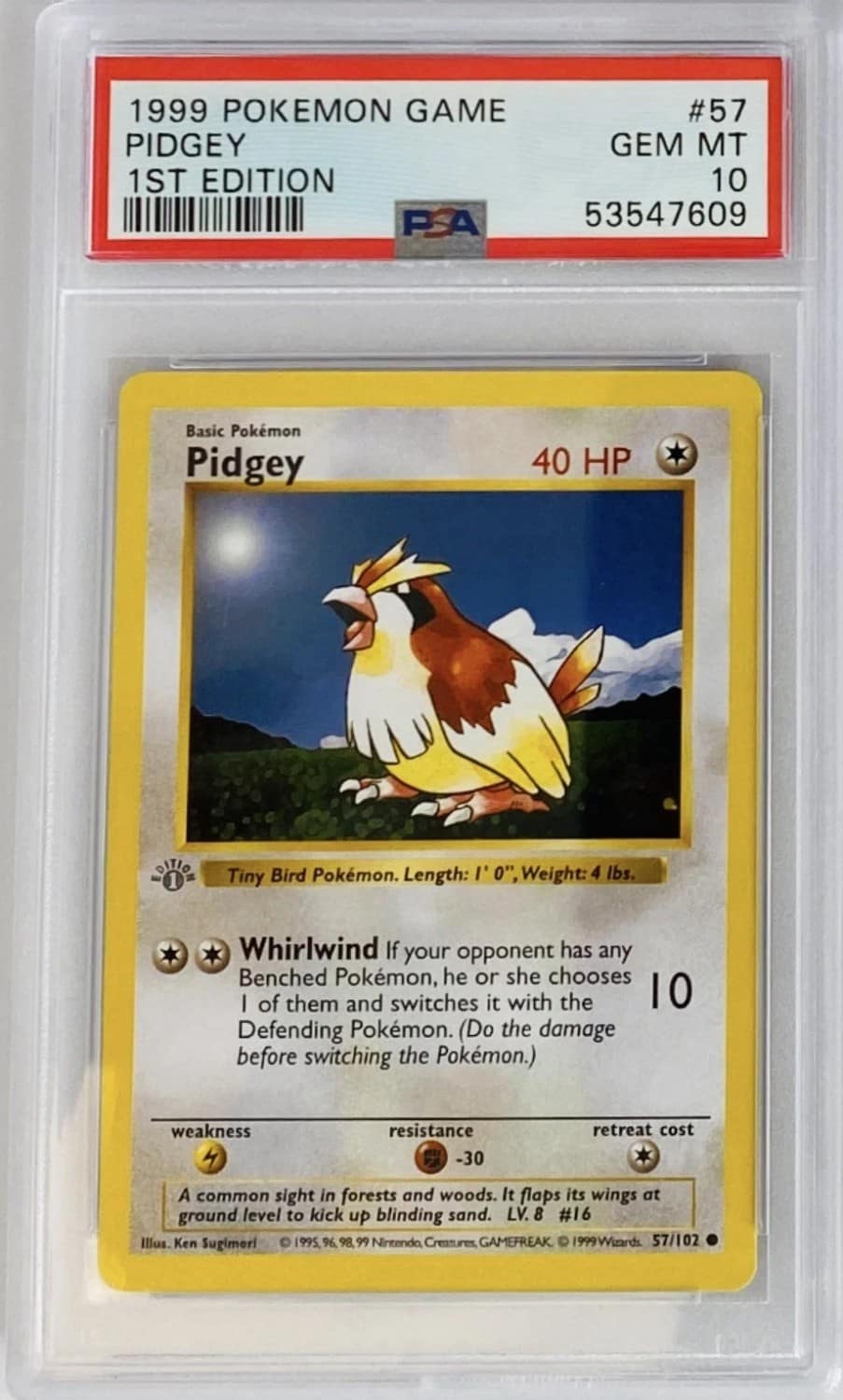 Pidgey