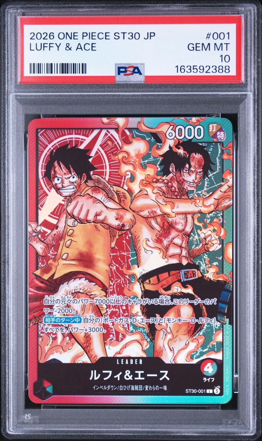 Luffy & Ace