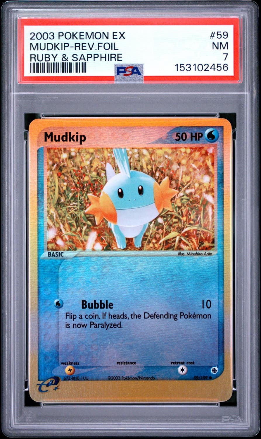 Mudkip