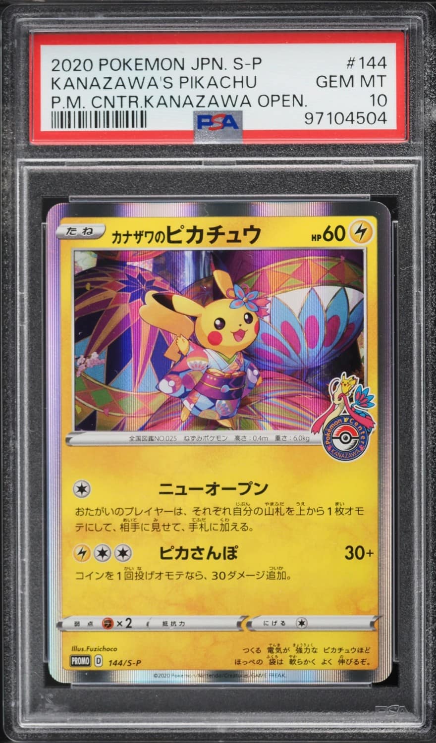 Kanazawa'S Pikachu