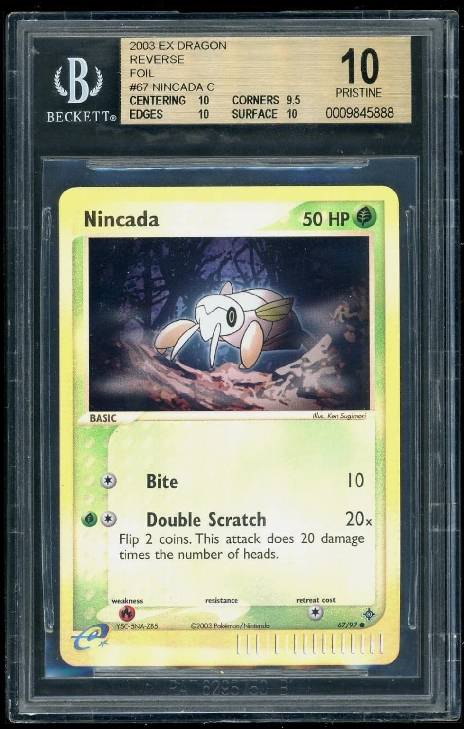 Nincada