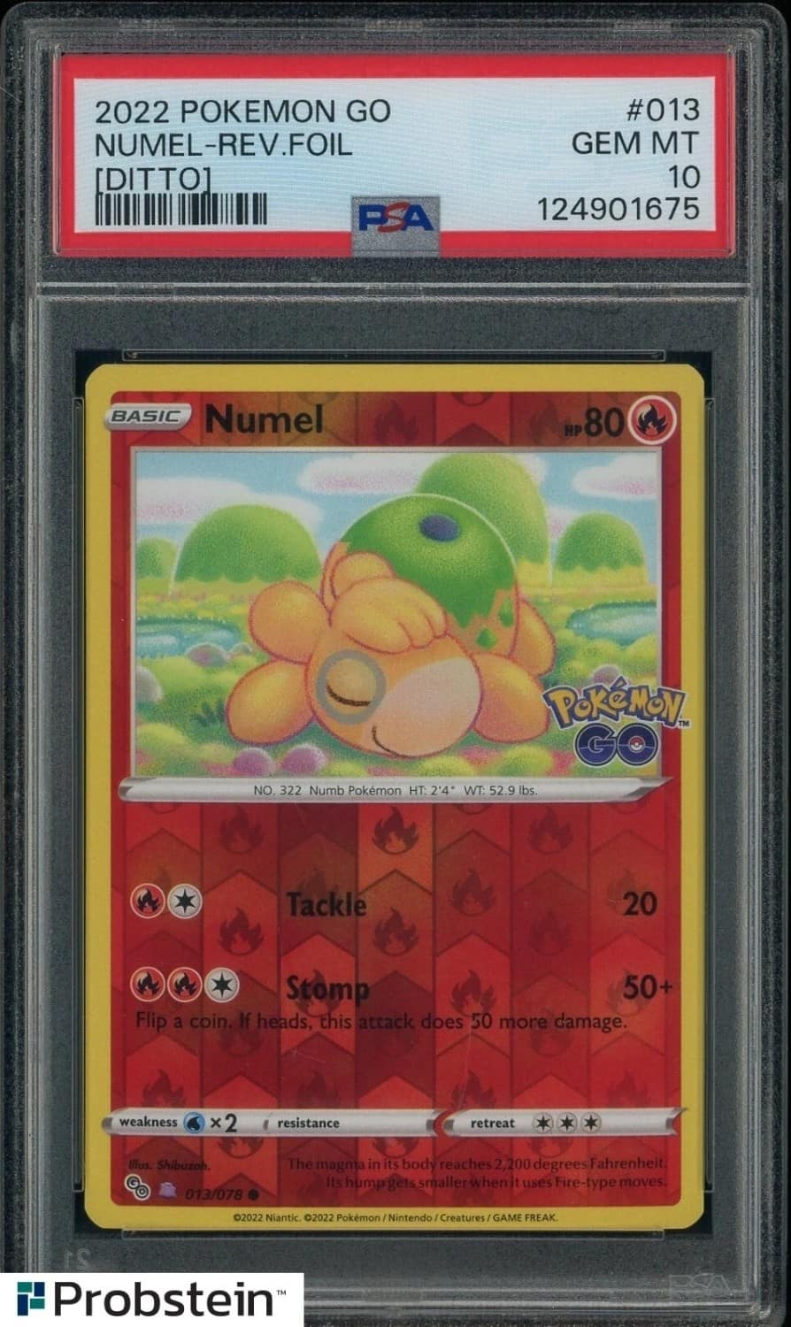 Numel (ditto)