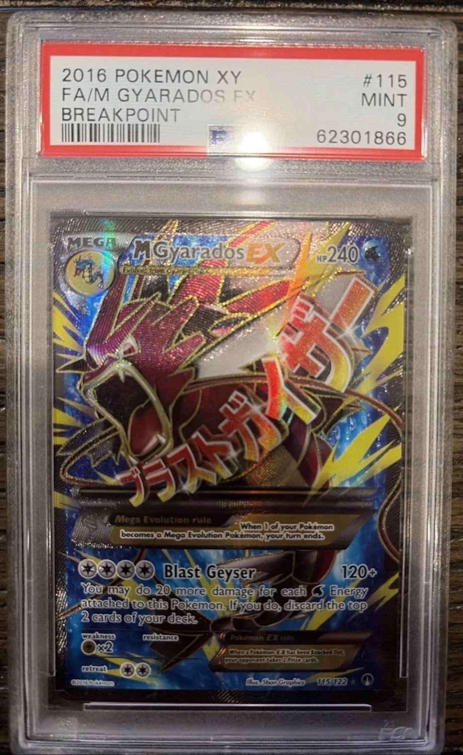M Gyarados Ex