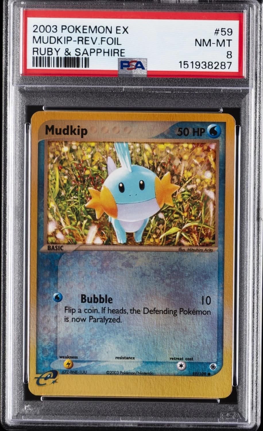 Mudkip