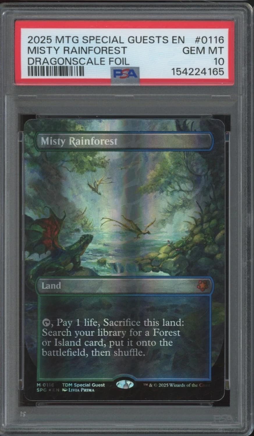 Misty Rainforest